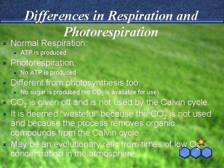 Differences in Respiration and Photorespiration û Normal Respiration: û û Photorespiration: û û ATP