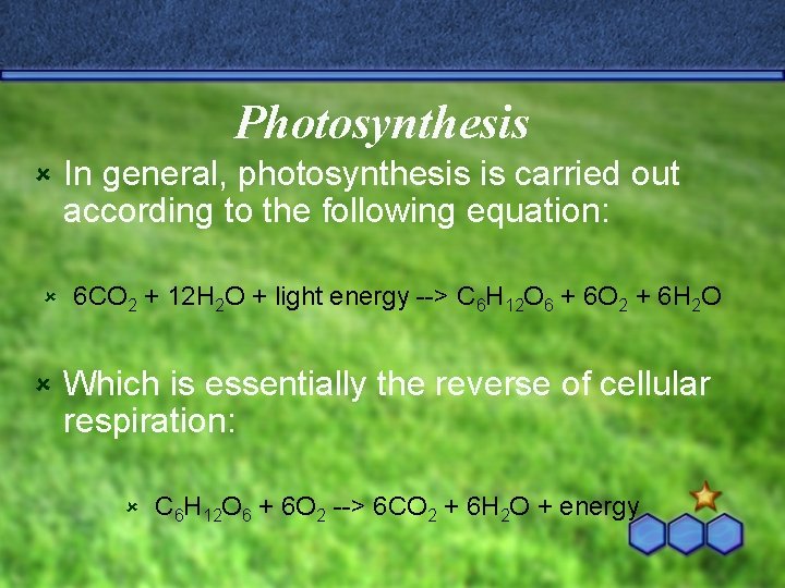 Photosynthesis û û û In general, photosynthesis is carried out according to the following