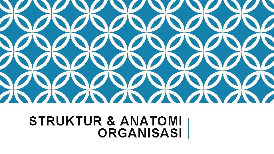 STRUKTUR & ANATOMI ORGANISASI 