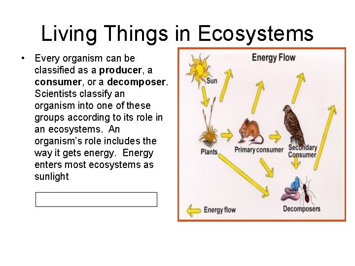 Living Things in Ecosystems • Every organism can be classified as a producer, a