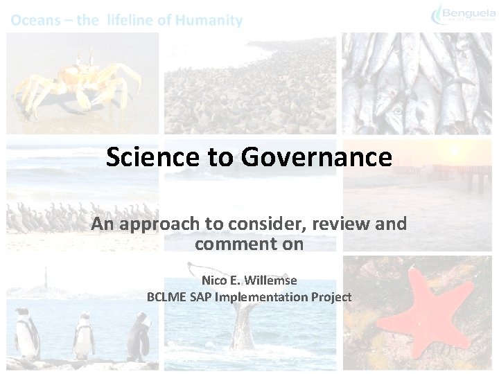 Science to Governance An approach to consider, review and comment on Nico E. Willemse