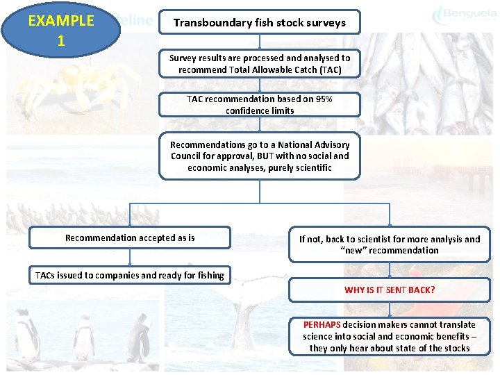 EXAMPLE 1 Transboundary fish stock surveys Survey results are processed analysed to recommend Total