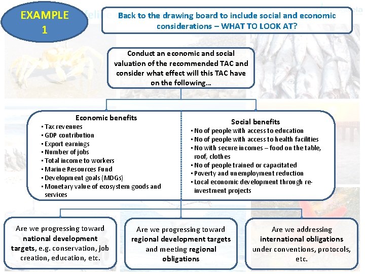 EXAMPLE 1 Back to the drawing board to include social and economic considerations –