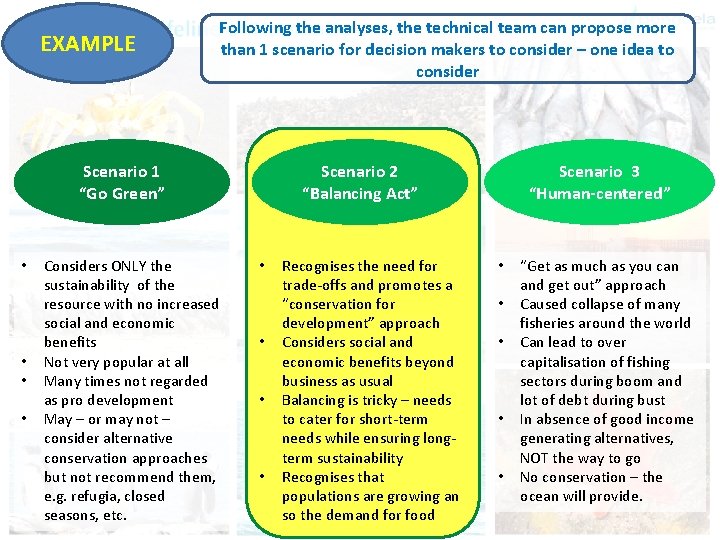 EXAMPLE Following the analyses, the technical team can propose more than 1 scenario for