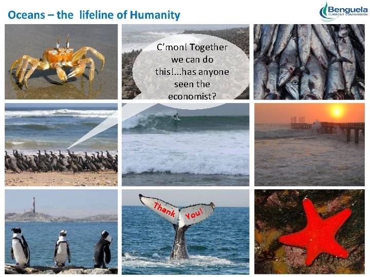 C’mon! Together we can do this!. . . has anyone seen the economist? Tha