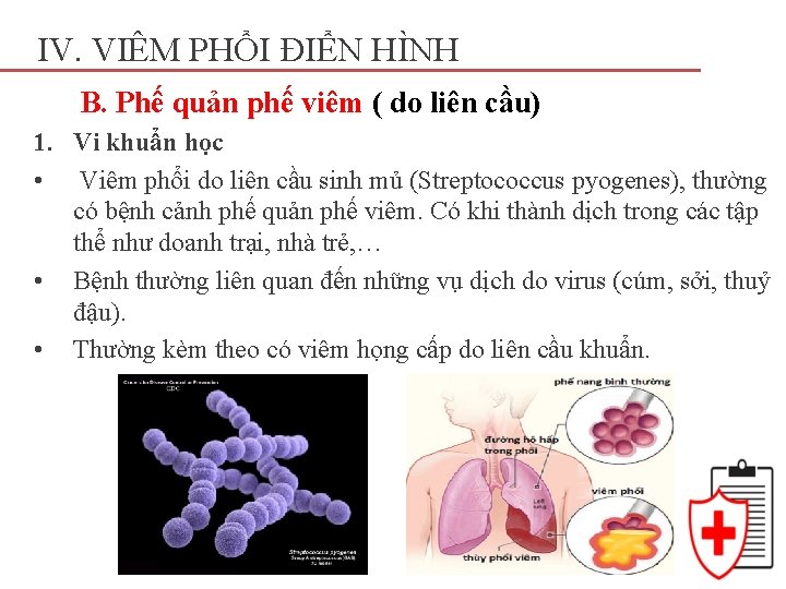 IV. VIÊM PHỔI ĐIỂN HÌNH B. Phế quản phế viêm ( do liên cầu)