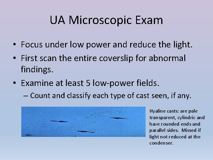 UA Microscopic Exam • Focus under low power and reduce the light. • First