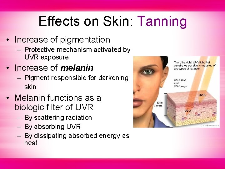 Effects on Skin: Tanning • Increase of pigmentation – Protective mechanism activated by UVR
