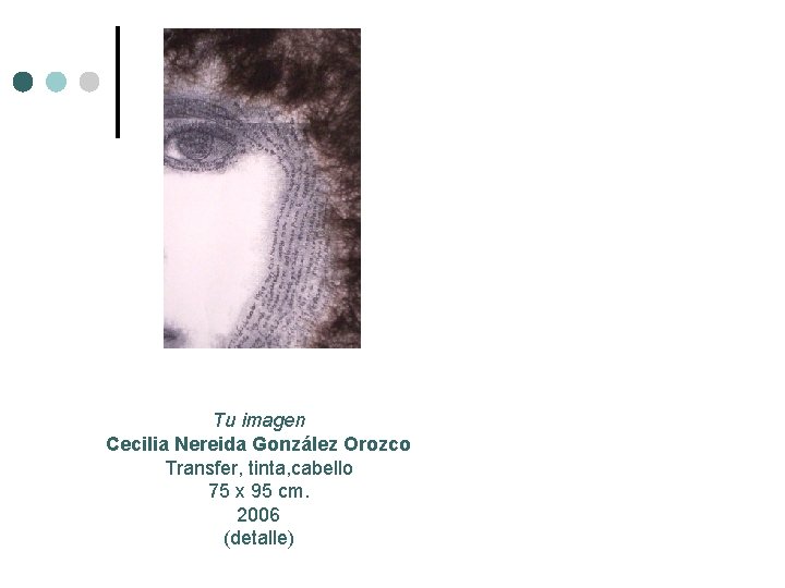 Tu imagen Cecilia Nereida González Orozco Transfer, tinta, cabello 75 x 95 cm. 2006