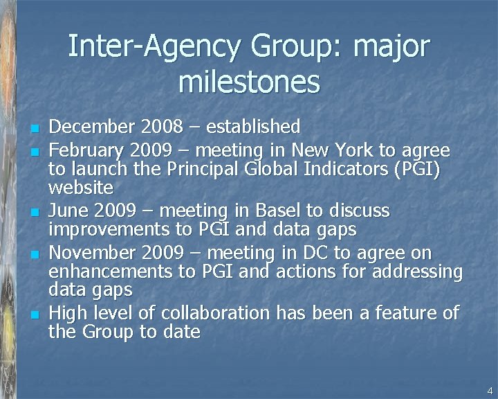 Inter-Agency Group: major milestones n n n December 2008 – established February 2009 –