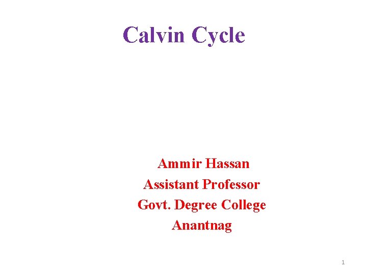 Calvin Cycle Ammir Hassan Assistant Professor Govt. Degree College Anantnag 1 