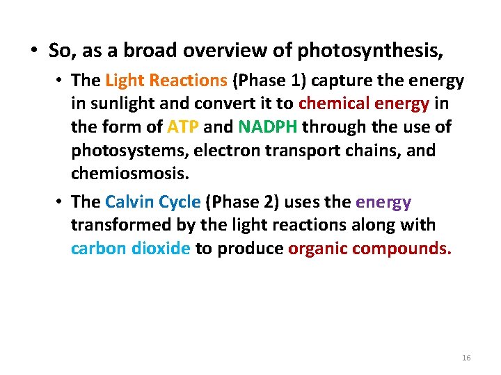 Photosynthesis: A Recap • So, as a broad overview of photosynthesis, • The Light