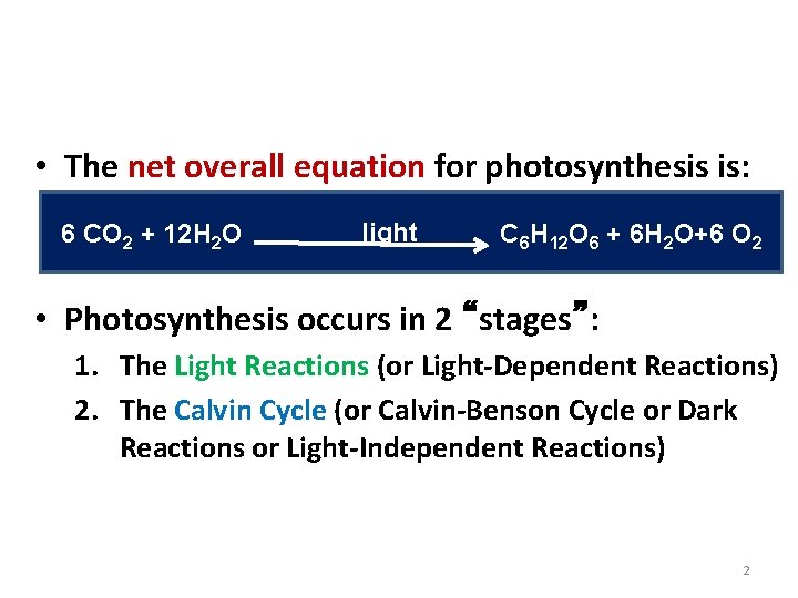 Photosynthesis: An Overview • The net overall equation for photosynthesis is: 6 CO 2