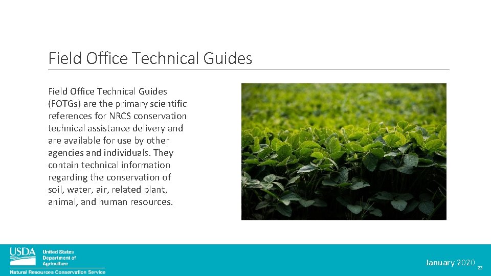 Field Office Technical Guides (FOTGs) are the primary scientific references for NRCS conservation technical