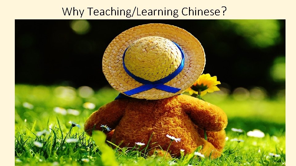 Why Teaching/Learning Chinese? • 1. 4 native Chinese speakers 