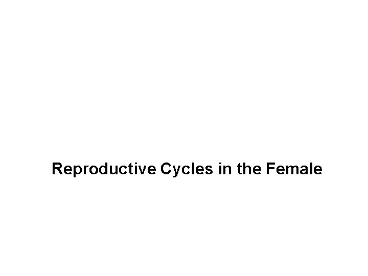 Reproductive Cycles in the Female Reproductive Cycles in the Female