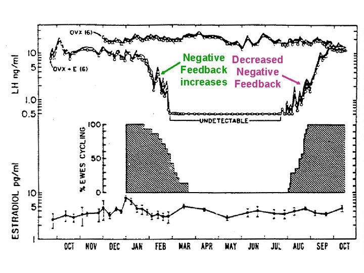 Negative Decreased Feedback Negative increases Feedback Negative Decreased Feedback Negative increases Feedback