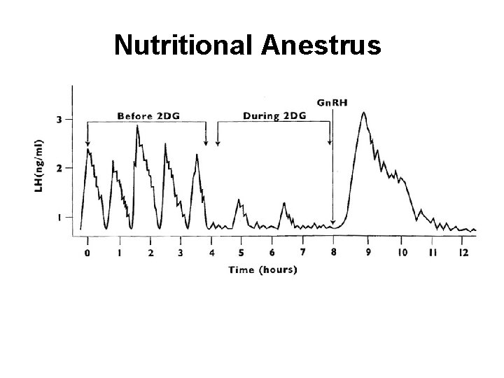 Nutritional Anestrus Nutritional Anestrus