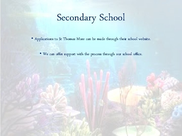 Secondary School • Applications to St Thomas More can be made through their school