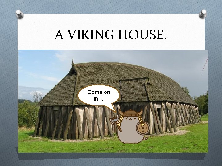 A VIKING HOUSE. Come on in… 