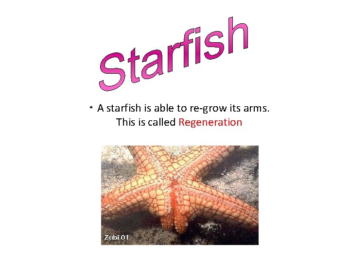* A starfish is able to re-grow its arms. This is called Regeneration 