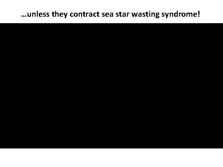 …unless they contract sea star wasting syndrome! 