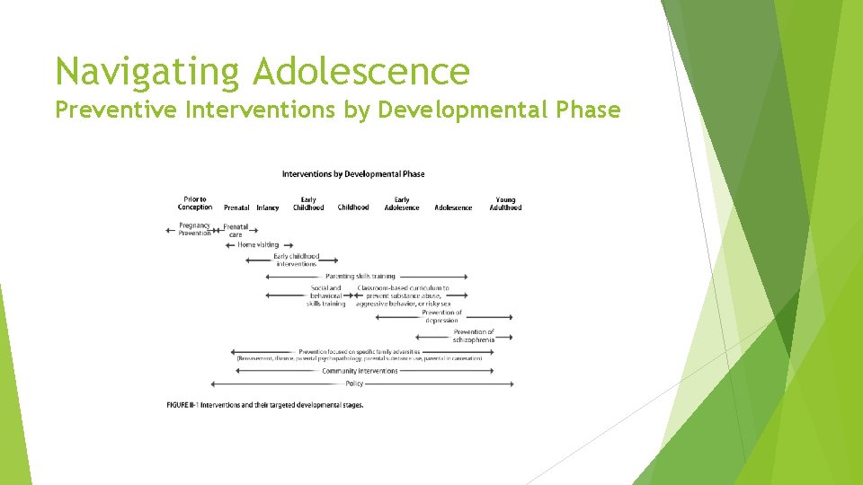 Navigating Adolescence Preventive Interventions by Developmental Phase 