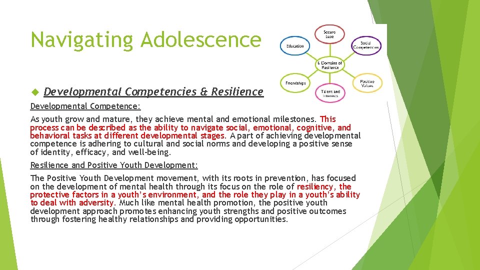 Navigating Adolescence Developmental Competencies & Resilience Developmental Competence: As youth grow and mature, they