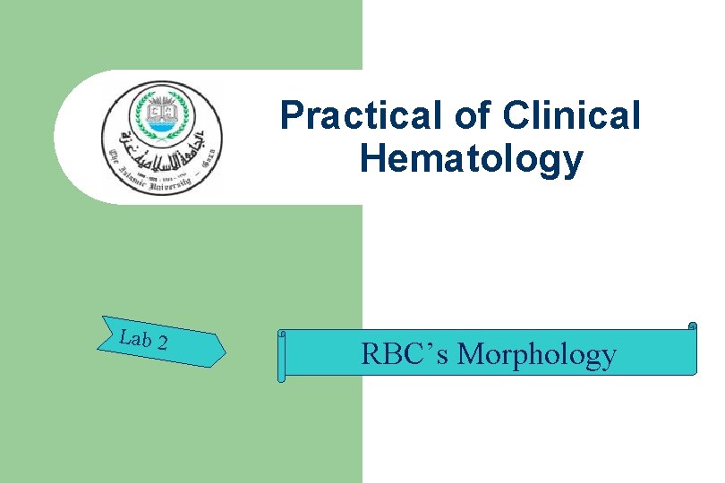Practical of Clinical Hematology Lab 2 RBC’s Morphology 