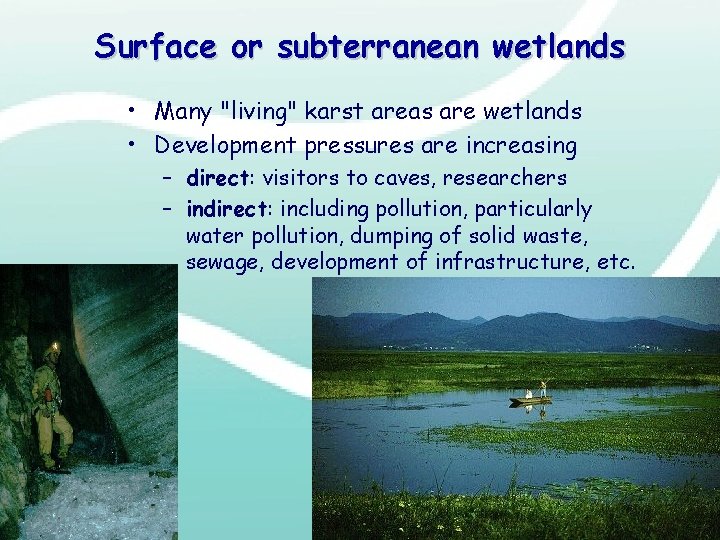 Surface or subterranean wetlands • Many "living" karst areas are wetlands • Development pressures