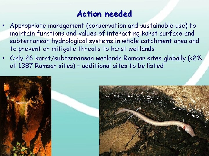 Action needed • Appropriate management (conservation and sustainable use) to maintain functions and values