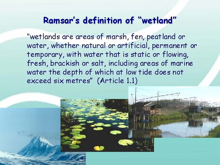 Ramsar’s definition of “wetland” “wetlands areas of marsh, fen, peatland or water, whether natural