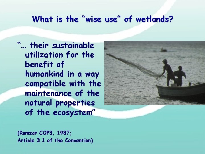 What is the “wise use” of wetlands? “… their sustainable utilization for the benefit