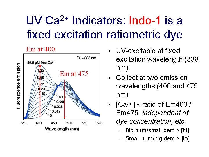 UV Ca 2+ Indicators: Indo-1 is a fixed excitation ratiometric dye Em at 400