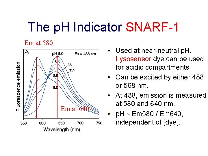 The p. H Indicator SNARF-1 Em at 580 Em at 640 • Used at