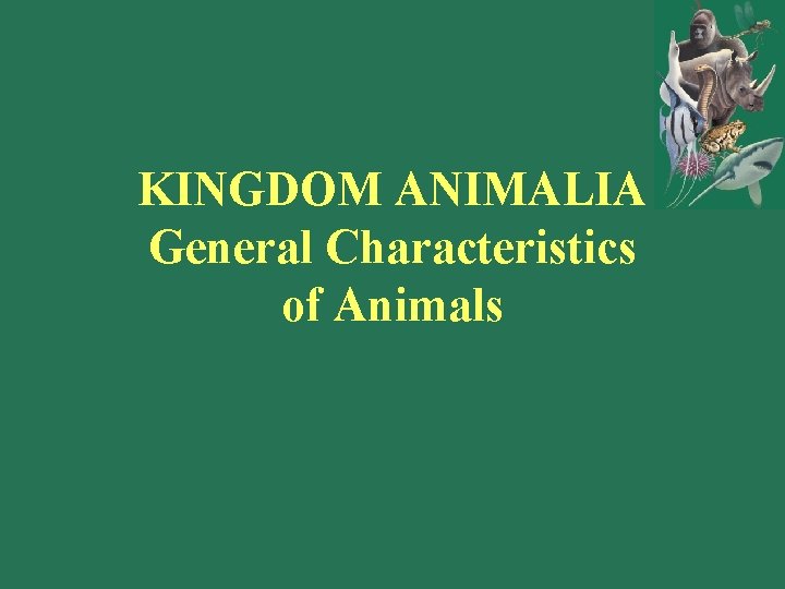 KINGDOM ANIMALIA General Characteristics of Animals 