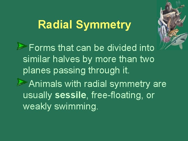 Radial Symmetry Forms that can be divided into similar halves by more than two