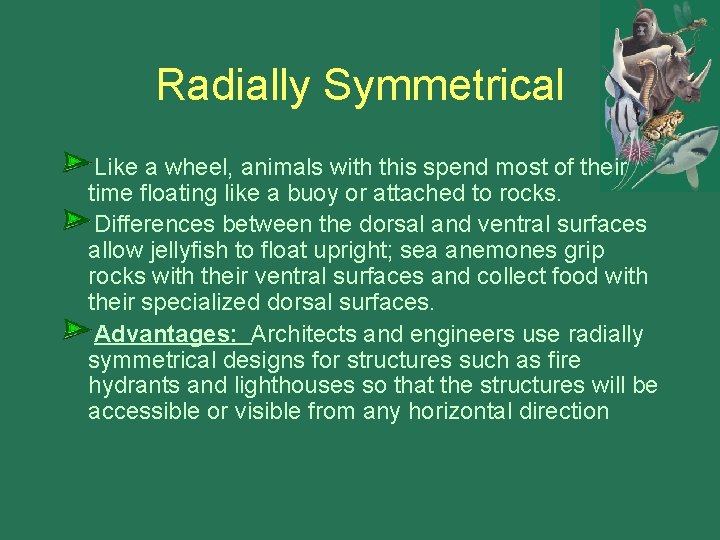 Radially Symmetrical Like a wheel, animals with this spend most of their time floating