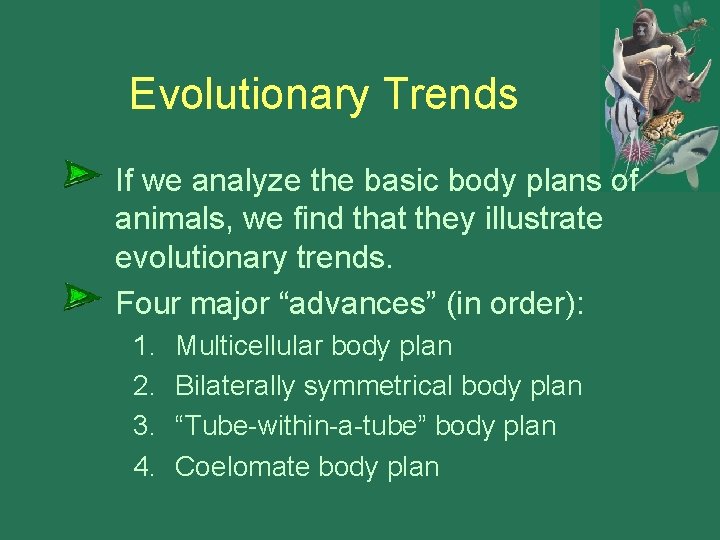 Evolutionary Trends If we analyze the basic body plans of animals, we find that Evolutionary Trends If we analyze the basic body plans of animals, we find that