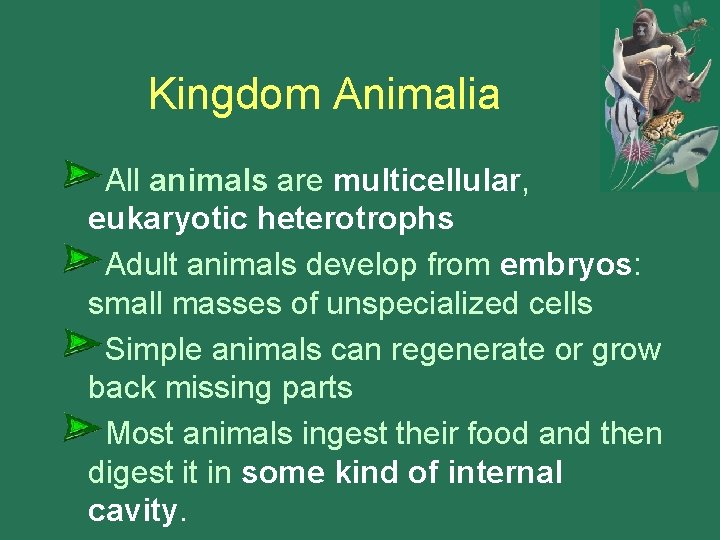 Kingdom Animalia All animals are multicellular, eukaryotic heterotrophs Adult animals develop from embryos: small Kingdom Animalia All animals are multicellular, eukaryotic heterotrophs Adult animals develop from embryos: small