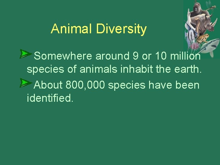 Animal Diversity Somewhere around 9 or 10 million species of animals inhabit the earth.