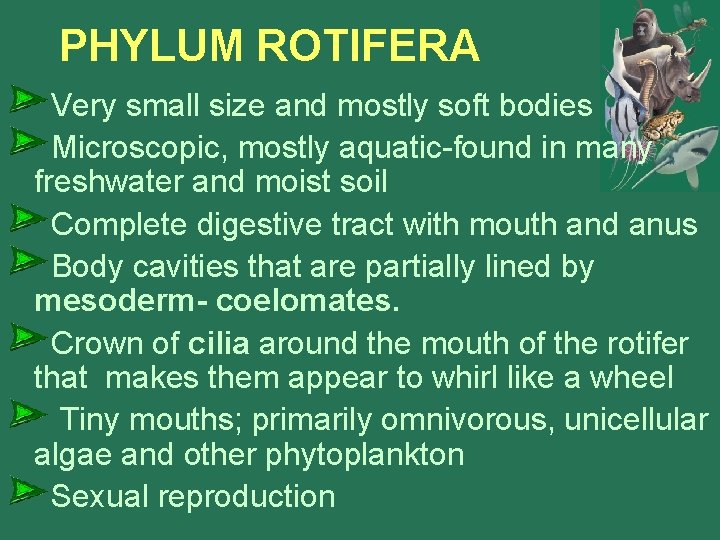 PHYLUM ROTIFERA Very small size and mostly soft bodies Microscopic, mostly aquatic-found in many