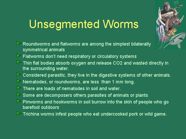 Unsegmented Worms Roundworms and flatworms are among the simplest bilaterally symmetrical animals Flatworms don’t