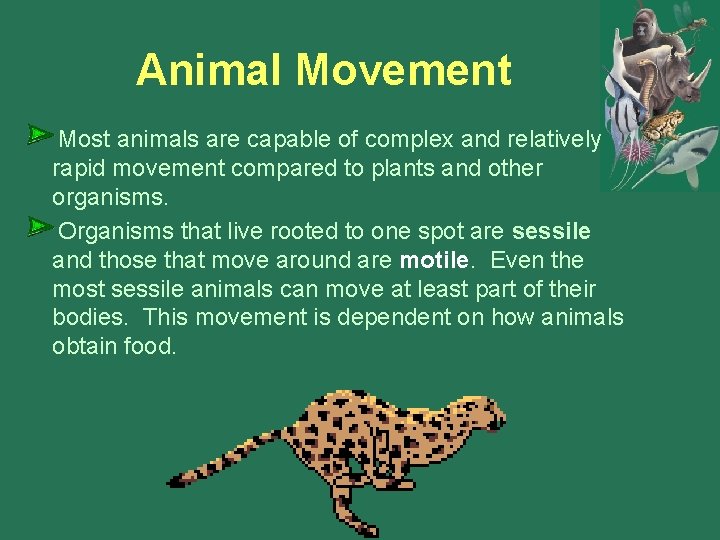 Animal Movement Most animals are capable of complex and relatively rapid movement compared to