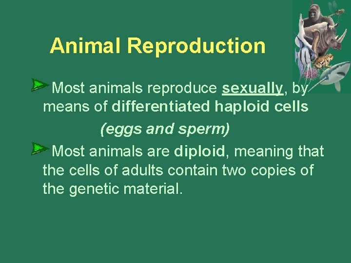 Animal Reproduction Most animals reproduce sexually, by means of differentiated haploid cells (eggs and