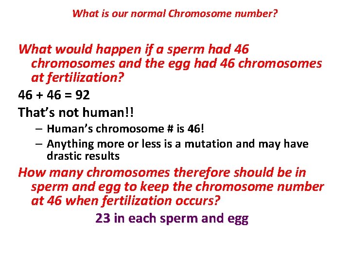 What is our normal Chromosome number? 46 What would happen if a sperm had