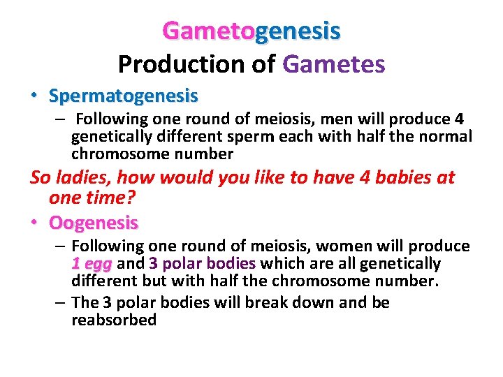 Gametogenesis Production of Gametes • Spermatogenesis – Following one round of meiosis, men will