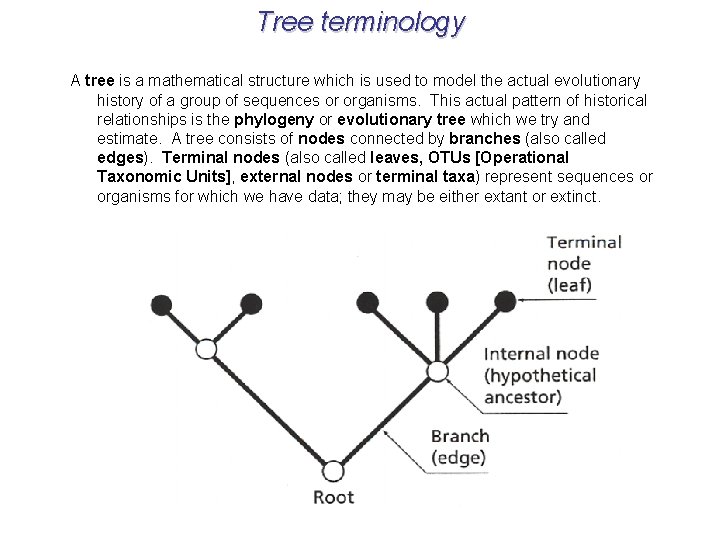 Tree terminology A tree is a mathematical structure which is used to model the