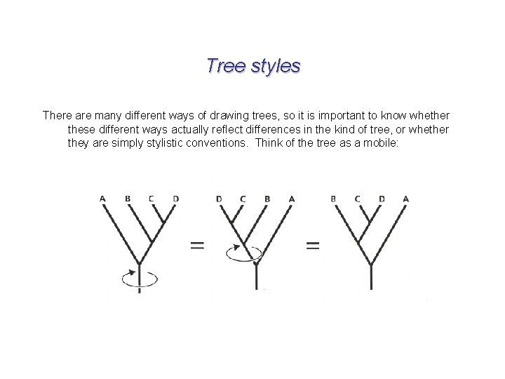 Tree styles There are many different ways of drawing trees, so it is important