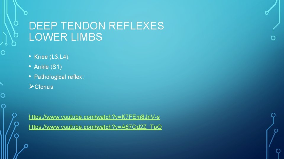 DEEP TENDON REFLEXES LOWER LIMBS • Knee (L 3, L 4) • Ankle (S